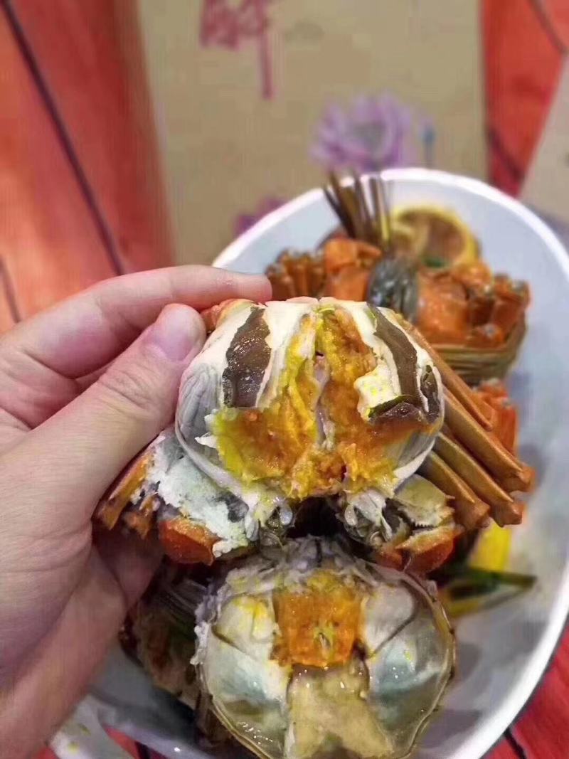 兴化红膏大闸蟹批发代发酒店公司福利