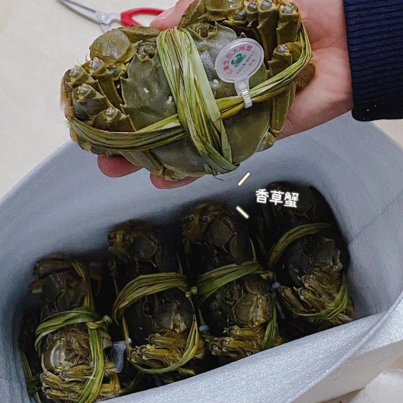 兴化红膏大闸蟹批发代发酒店公司福利