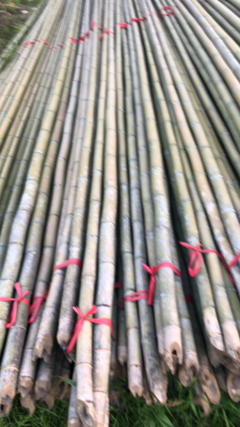 批发大竹竿大棚搭架竹竿蘑菇棚搭架竹竿养殖种植搭架长竹竿