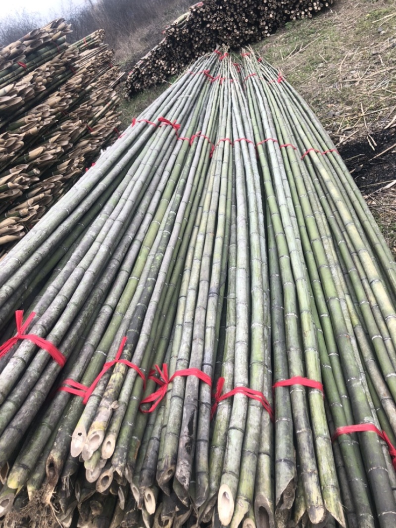 批发大竹竿大棚搭架竹竿蘑菇棚搭架竹竿养殖种植搭架长竹竿