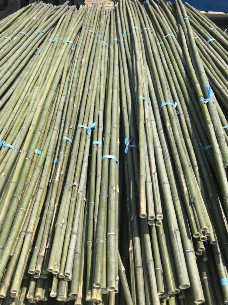 批发大竹竿大棚搭架竹竿蘑菇棚搭架竹竿养殖种植搭架长竹竿