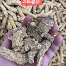 美国正宗花旗参西洋参段支人参红参进口参味浓郁