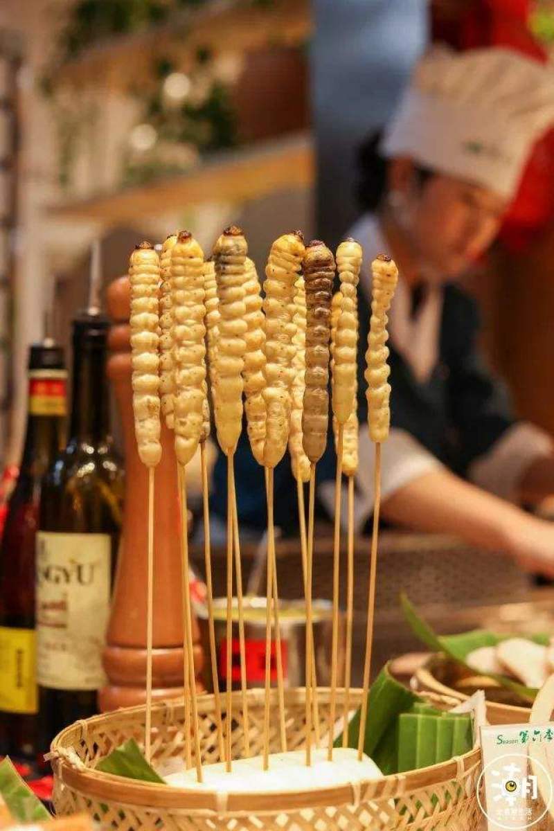 柴虫木虫哈虫干冻货活体速冻食用6公分产地直供