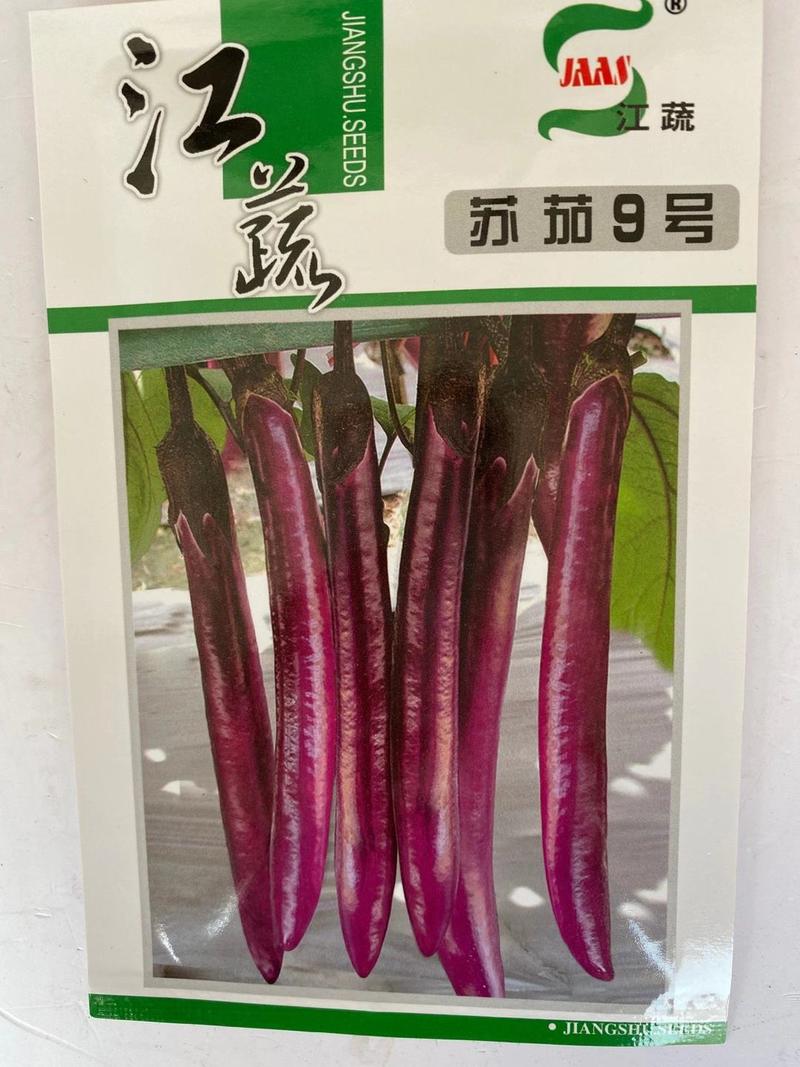 茄子种子紫黑长茄早熟果型直顺品种一代杂交种子种子
