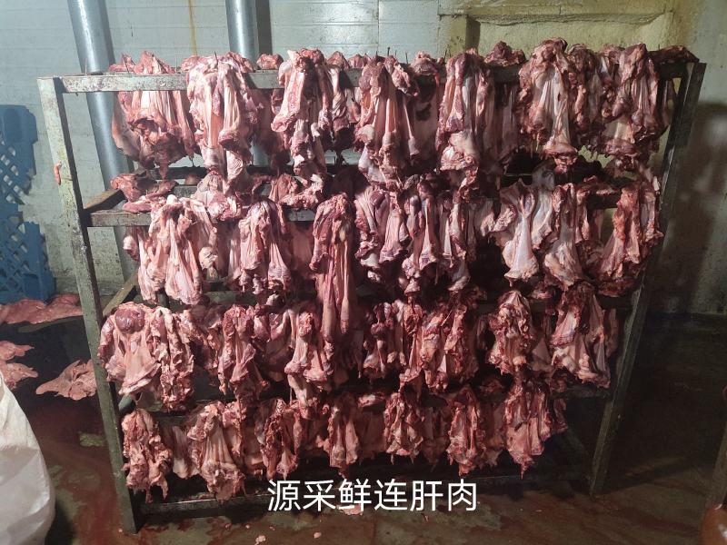 猪护心肉块大一件10公斤。