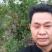 树龄为四年挂果期河南荥阳突尼斯软籽石榴树