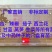 播种器穴盘播种器播种神器省时省人工播种快