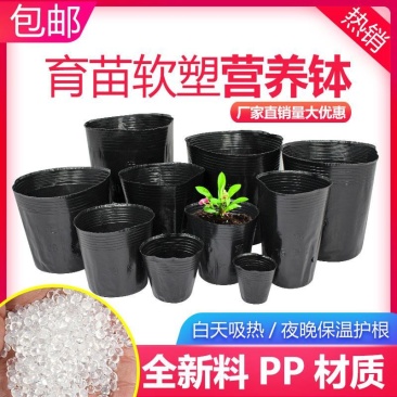 营养钵育苗杯柑橘杯育苗杯营养钵加厚育苗杯一次性的树苗