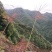 原始森林下山野生鸟柿果子，真真正正无公害绿色水果原汁原味
