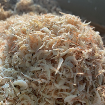 虾皮电商专用小虾皮可订制小包装大量现货