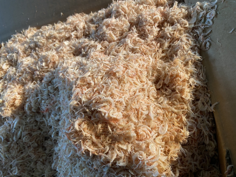 虾皮电商专用小虾皮可订制小包装大量现货
