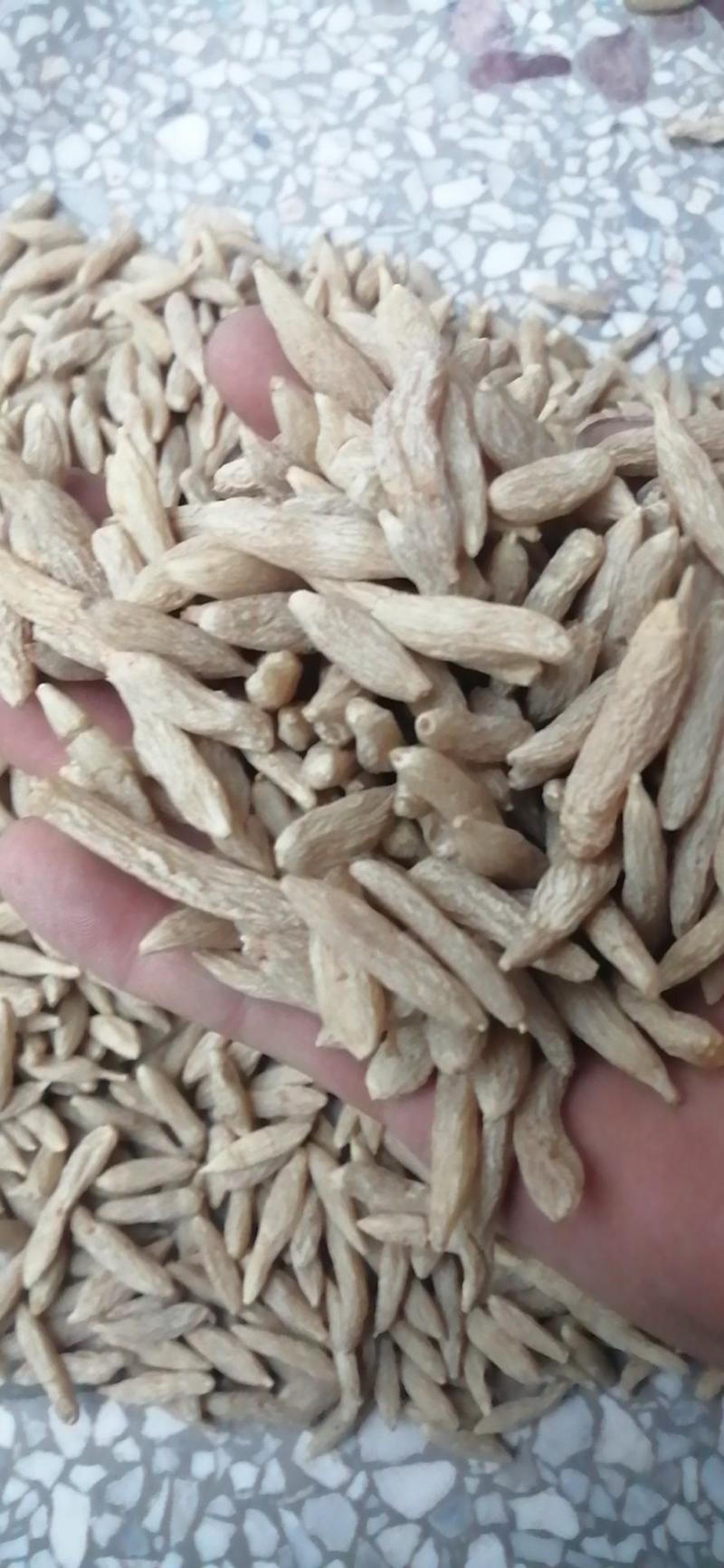 麦冬四川麦冬各种规格中药材批发零售