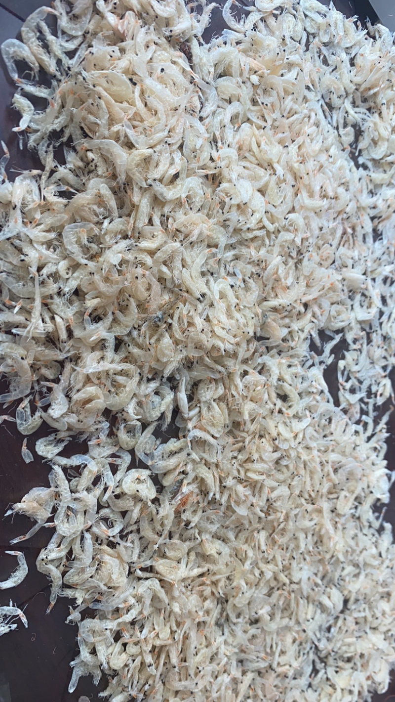 虾皮电商专用小虾皮可订制小包装大量现货