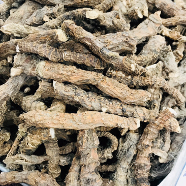 藏药批发冷背药批发藏药材批发各类藏药藏菖蒲