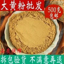 甘肃马蹄大黄粉500g包邮色泽鲜亮含量高厂家批发