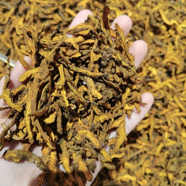 重庆石柱中药材鸡爪单支黄连片