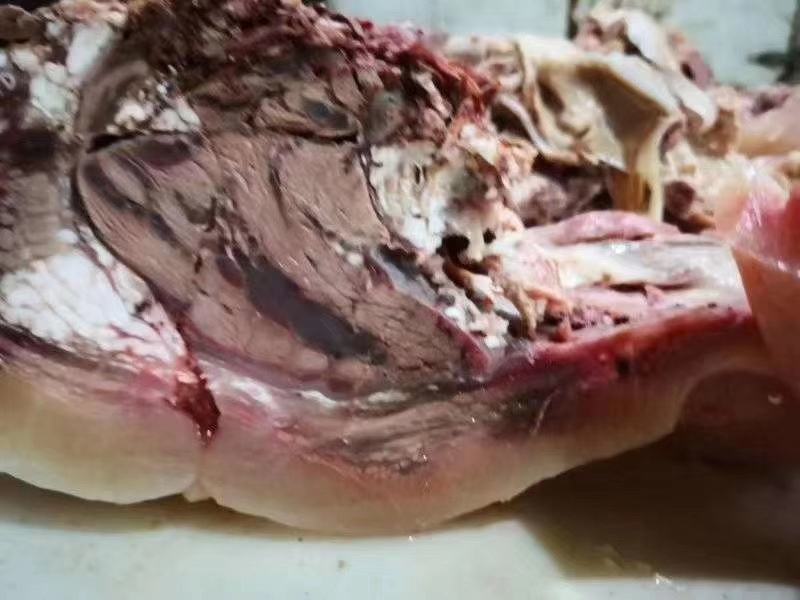 熟鲁西黄公牛头肉可定制切块片丝