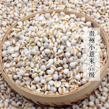 98米贵州新米小薏米薏苡仁薏仁米