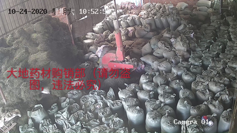 穿心莲产地直销一手货源支持药检量大从优