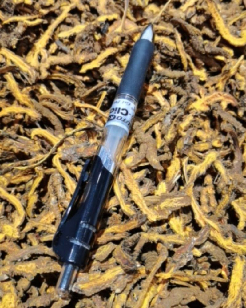 重庆石柱中药材鸡爪单支黄连片