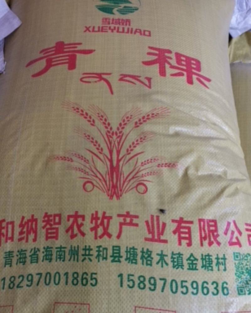 大量批发青稞米，蓝青稞米，稞米，