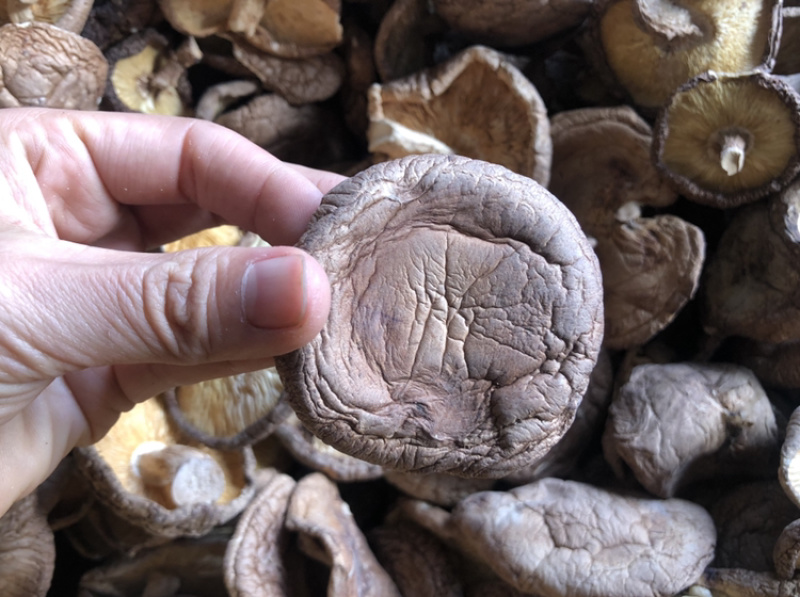 【有新货】21年干香菇薄香菇大开菇散装500g原产地批发
