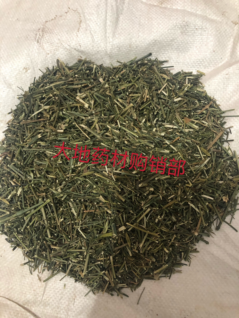 专供穿心莲原草、中叶、细叶、光杆，我们主打做穿心莲