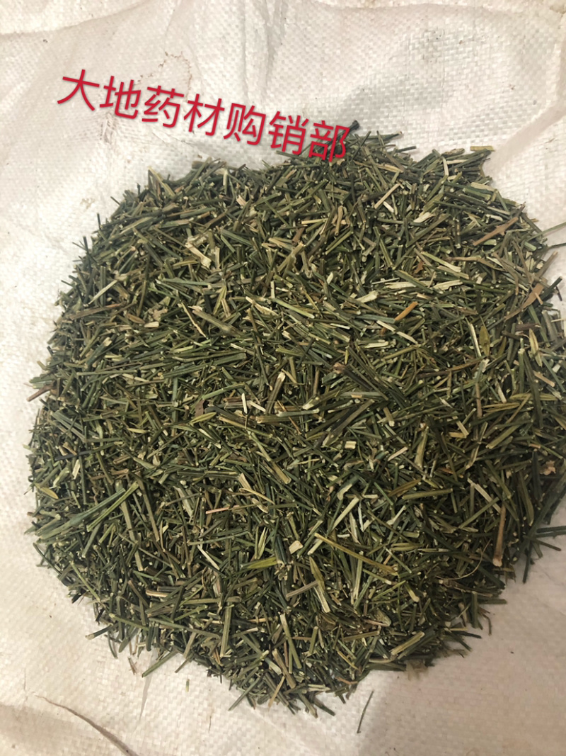 专供穿心莲原草、中叶、细叶、光杆，我们主打做穿心莲