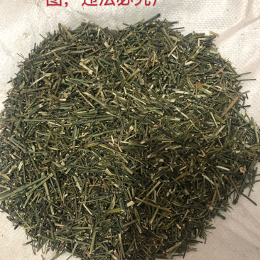 专供穿心莲原草、中叶、细叶、光杆，我们主打做穿心莲