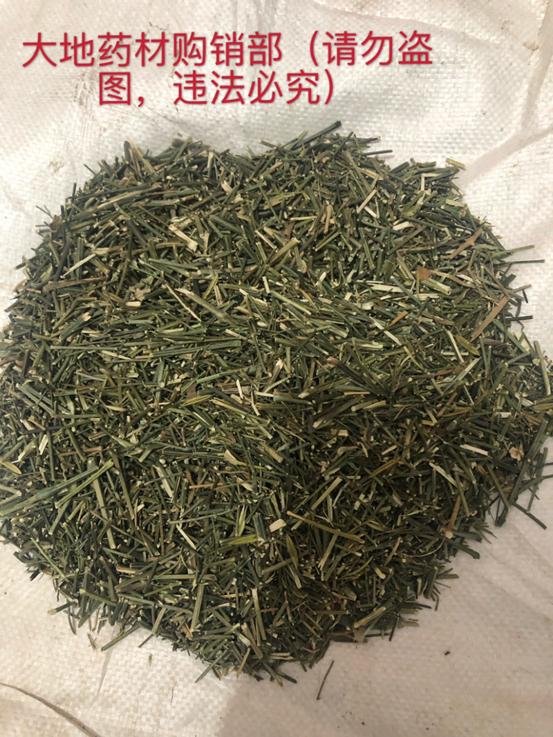 专供穿心莲原草、中叶、细叶、光杆，我们主打做穿心莲