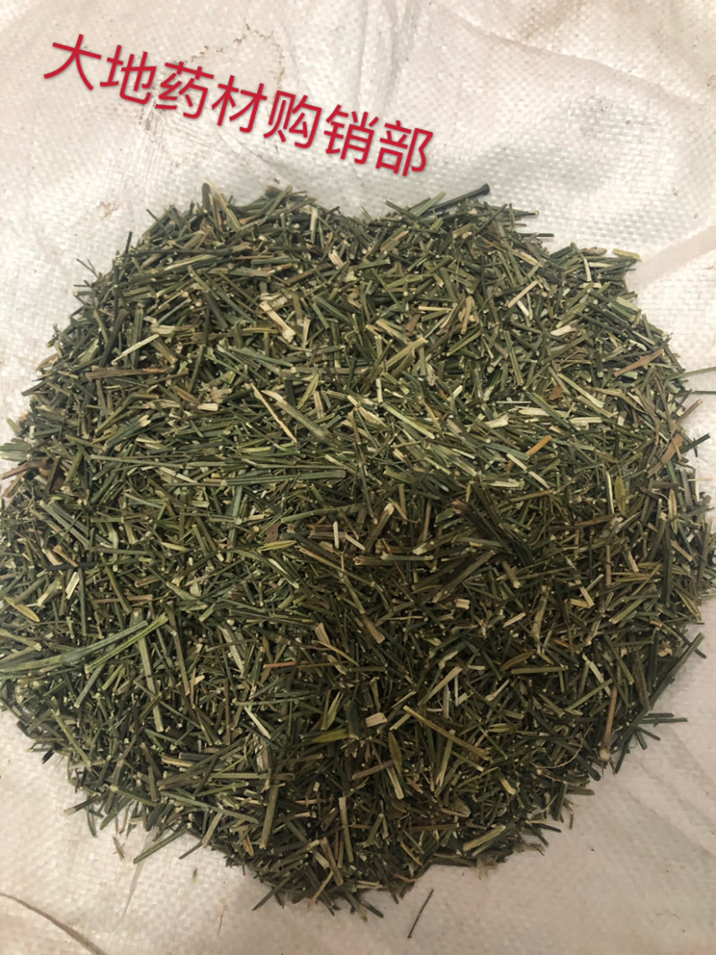 专供穿心莲原草、中叶、细叶、光杆，我们主打做穿心莲