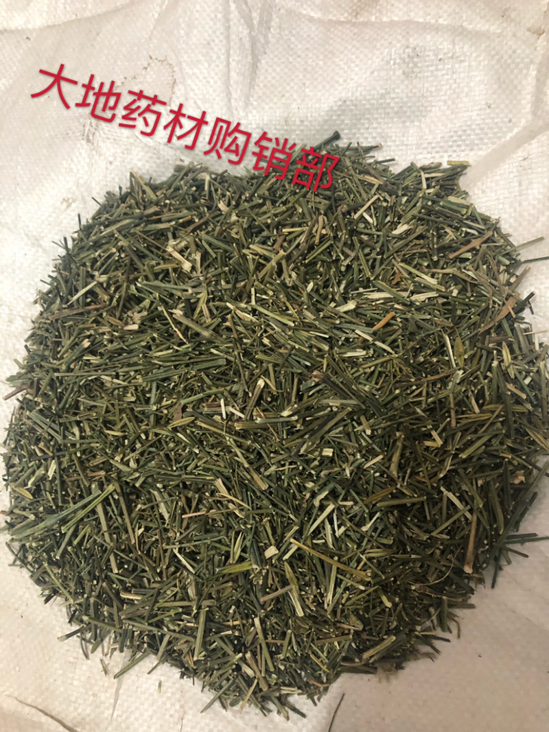 专供穿心莲原草、中叶、细叶、光杆，我们主打做穿心莲