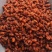 沙棘新疆1公斤起批无硫无添加不包邮只做正品