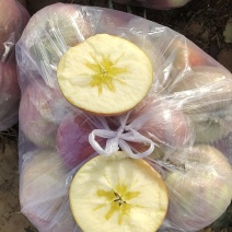 纸加膜高次膜袋高次