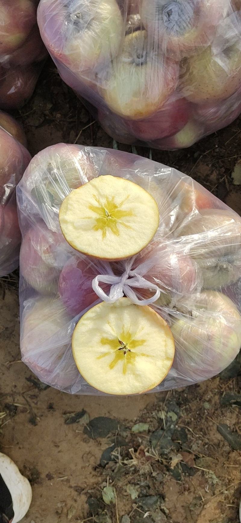 纸加膜高次膜袋高次