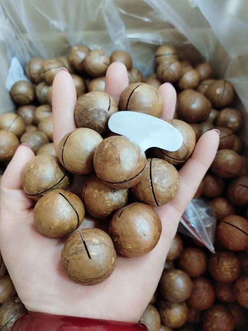 新货夏威夷果！纯澳洲果！纯白仁！皮薄易开！实图拍摄！