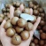 新货夏威夷果！纯澳洲果！纯白仁！皮薄易开！实图拍摄！