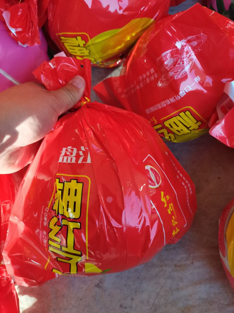 三红柚子基地直发欢迎采购欢迎采购欢迎采购欢迎采