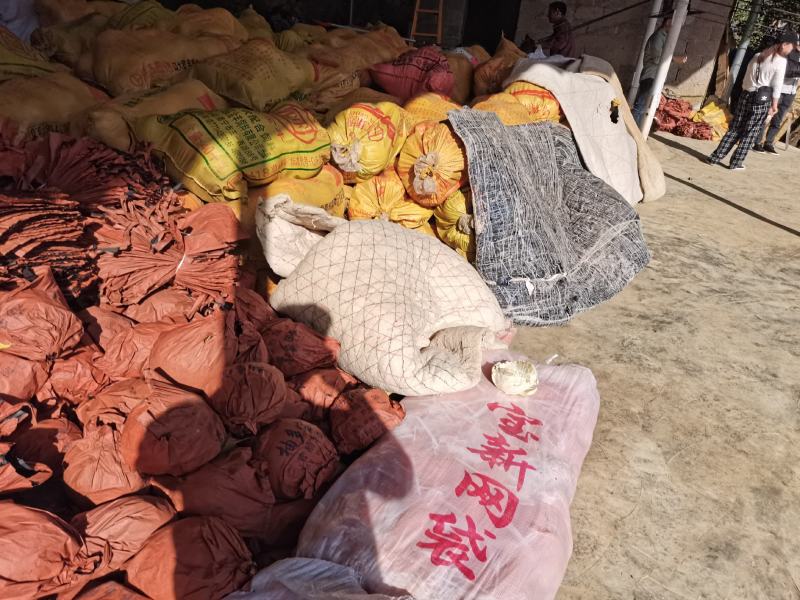 三红柚子基地直发欢迎采购欢迎采购欢迎采购欢迎采