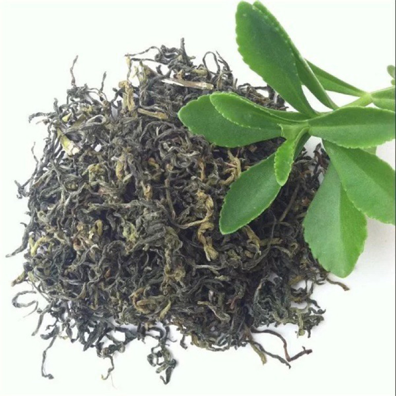 高钙菜种苗养心菜种苗山东野菜苗种植基地