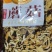 2020年的新品滑子菇(包邮)干品