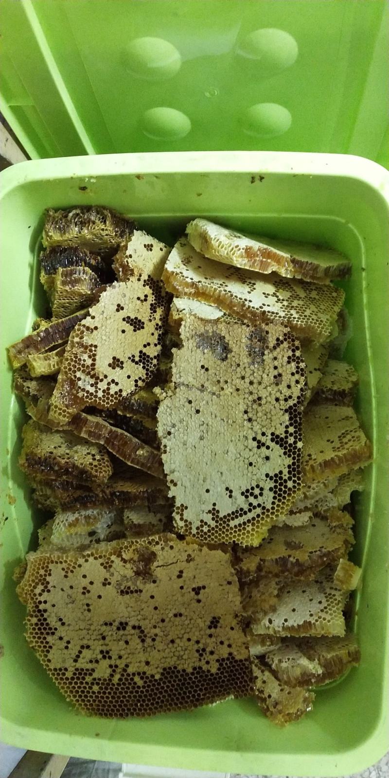 土蜂蜜中蜂自然割巢蜜