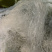缅甸特级龙须雪燕