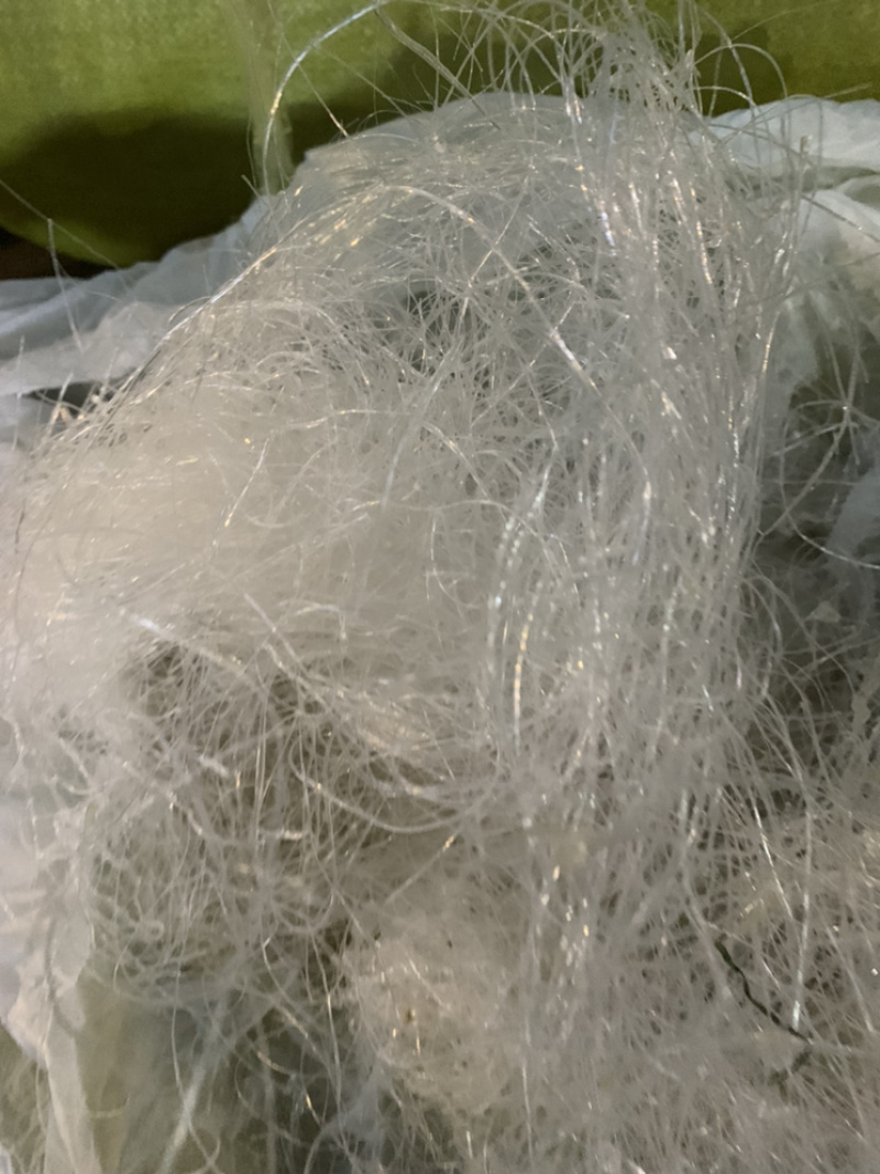 缅甸特级龙须雪燕