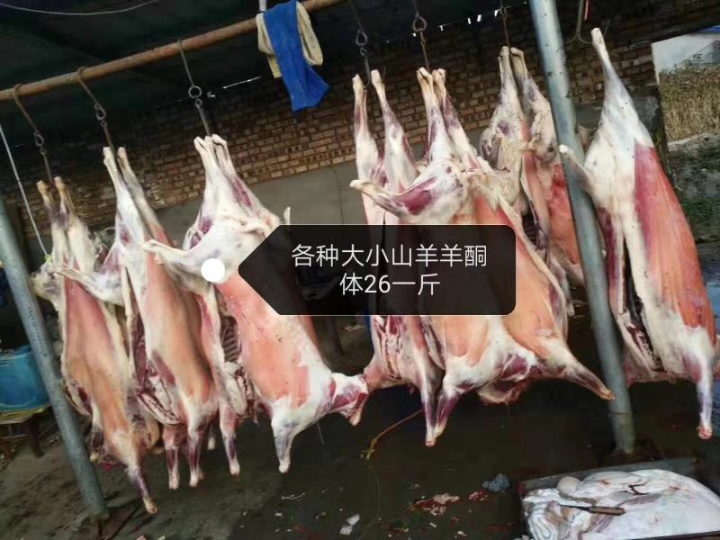羊腿，全国配送，需要的联系，长年供应，纯干无水