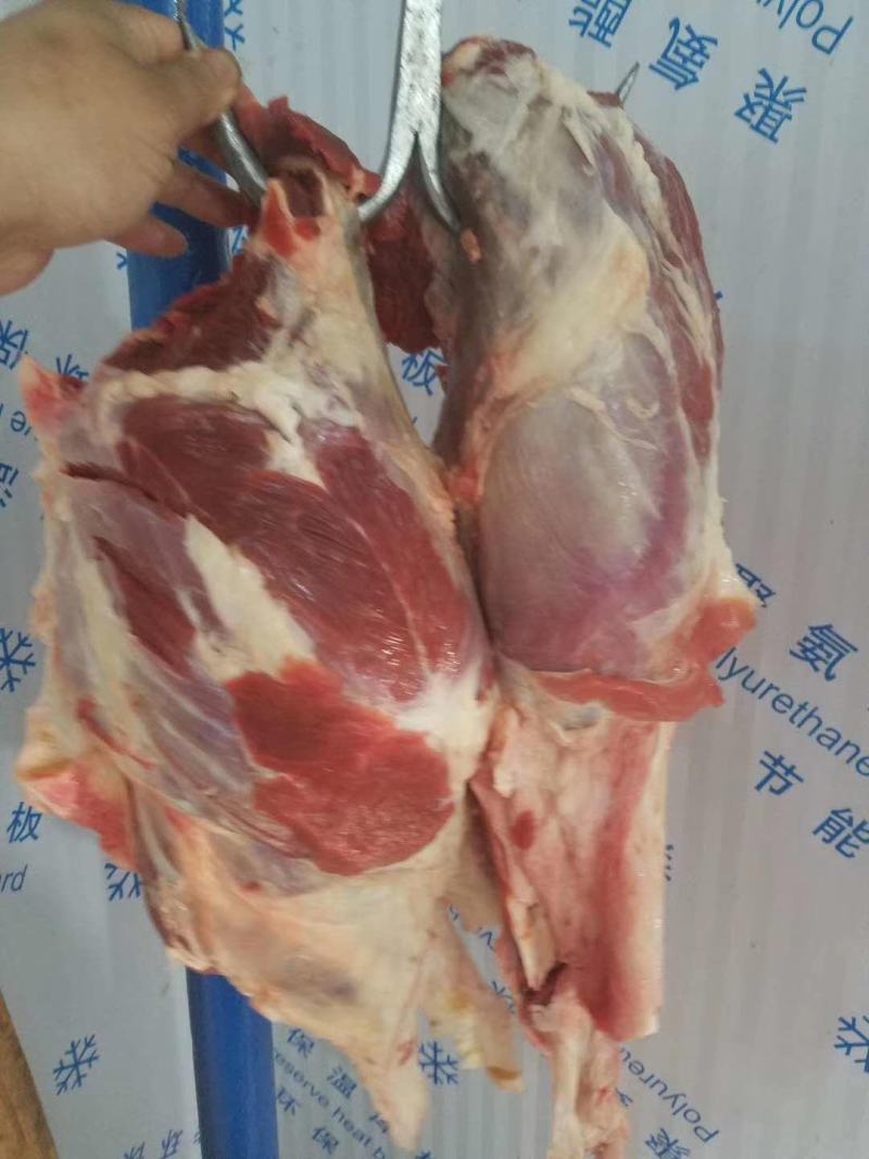 各种牛肉，冷鲜肉配送全国，无水精修，量大，需要的联系