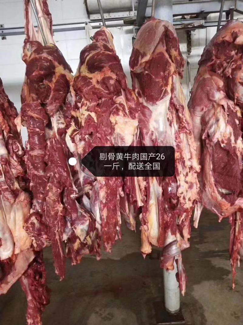 各种牛肉，冷鲜肉配送全国，无水精修，量大，需要的联系