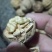 老树核桃今年新换味道鲜美