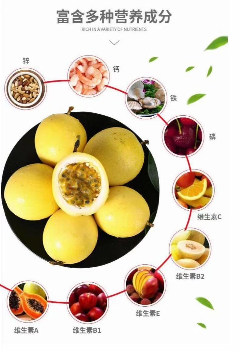 黄金百香果苗，广西百香果苗，黄金芭乐百香果台农百香果苗