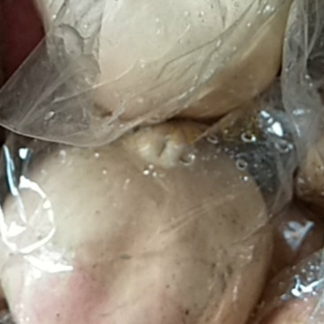 临潼区华清池，甜石榴